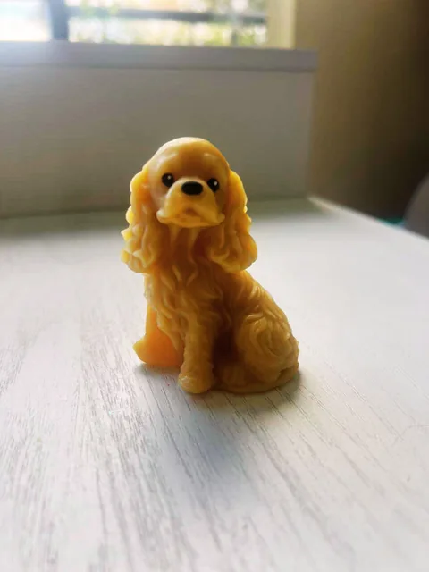 Cocker — Animales