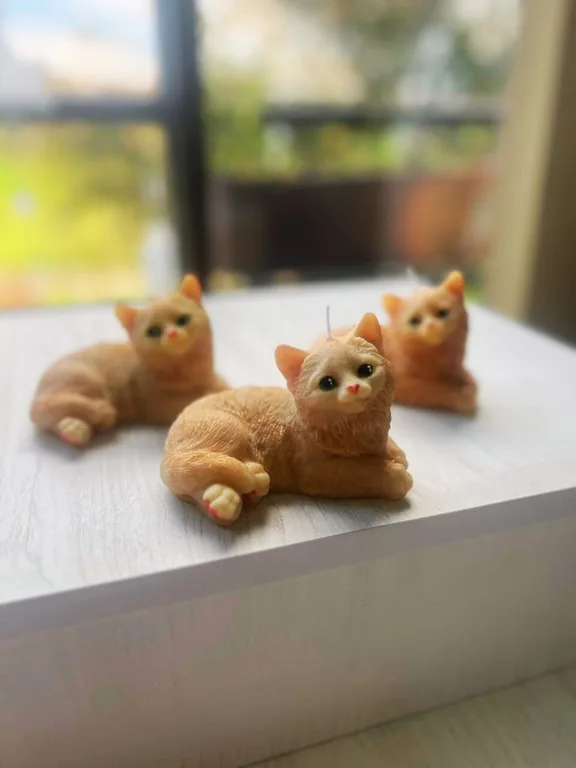 Simón — Animales